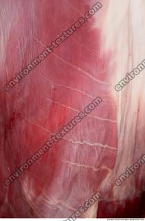 Photo Textures of RAW Pork Meat